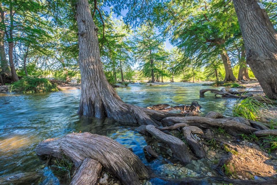 River Bluff Cabins Rio Frio Bagian luar foto